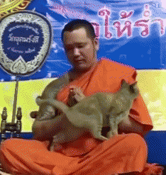 僧侶と猫